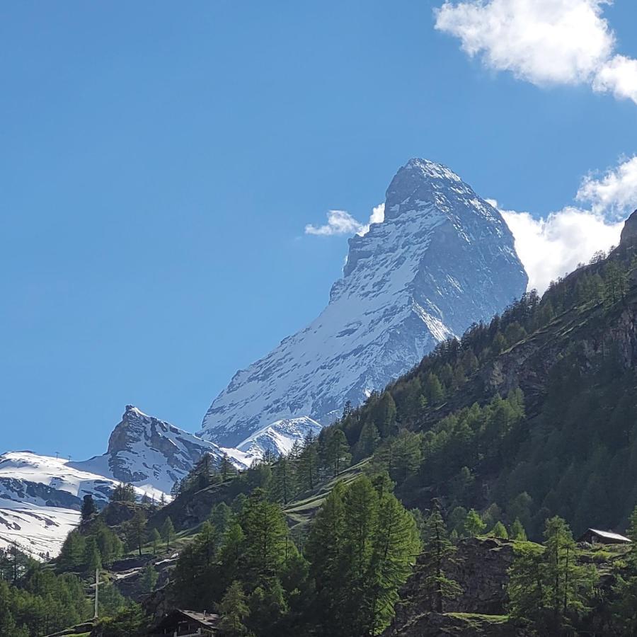 Appartement Viktoria B à Zermatt Extérieur photo